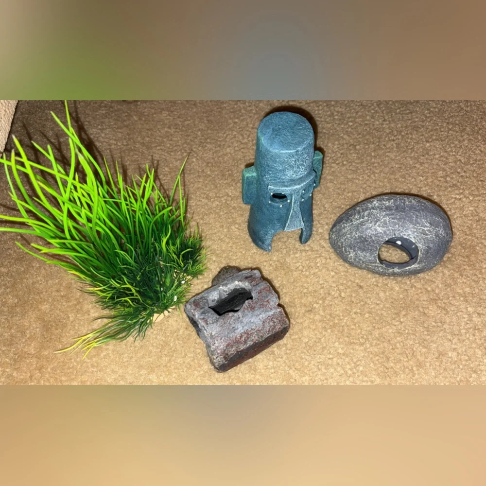 Aquarium Starter Kit with Accessories